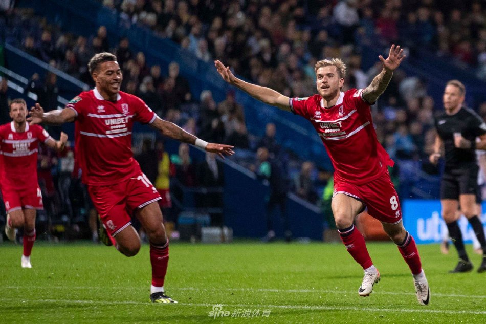 来源类型 来源类型